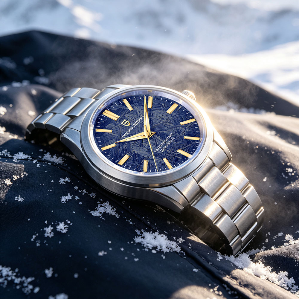 PAGANI DESIGN 40MM Men Quartz  - đánh giá và giá Luxury Watch Quality